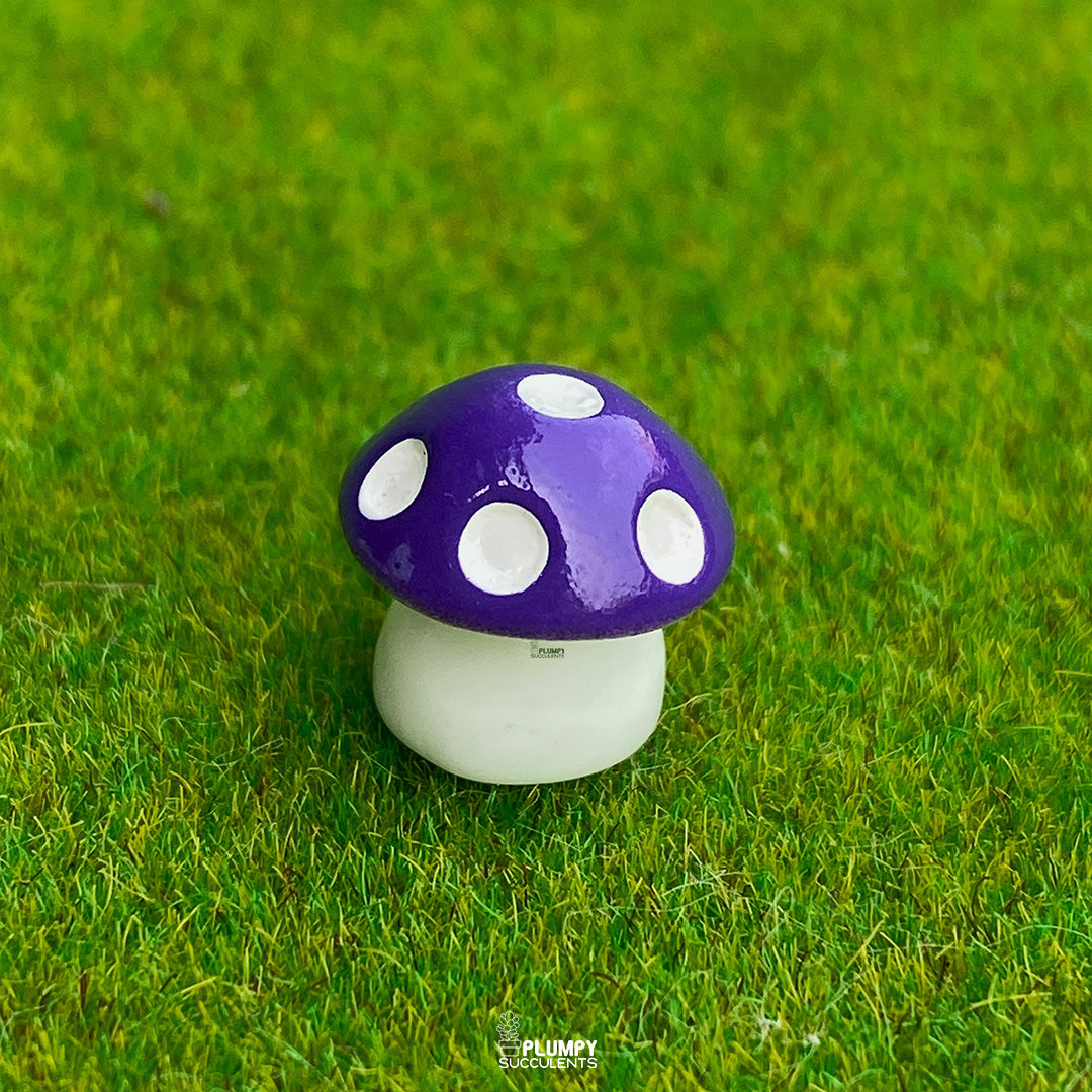 Mini Mushrooms