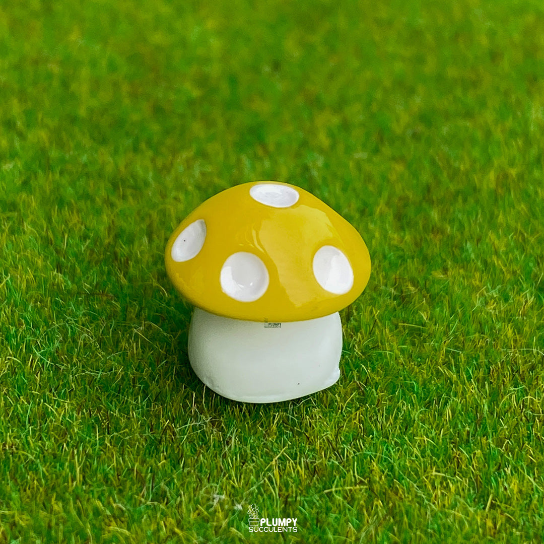 Mini Mushrooms