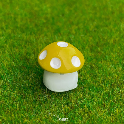 Mini Mushrooms