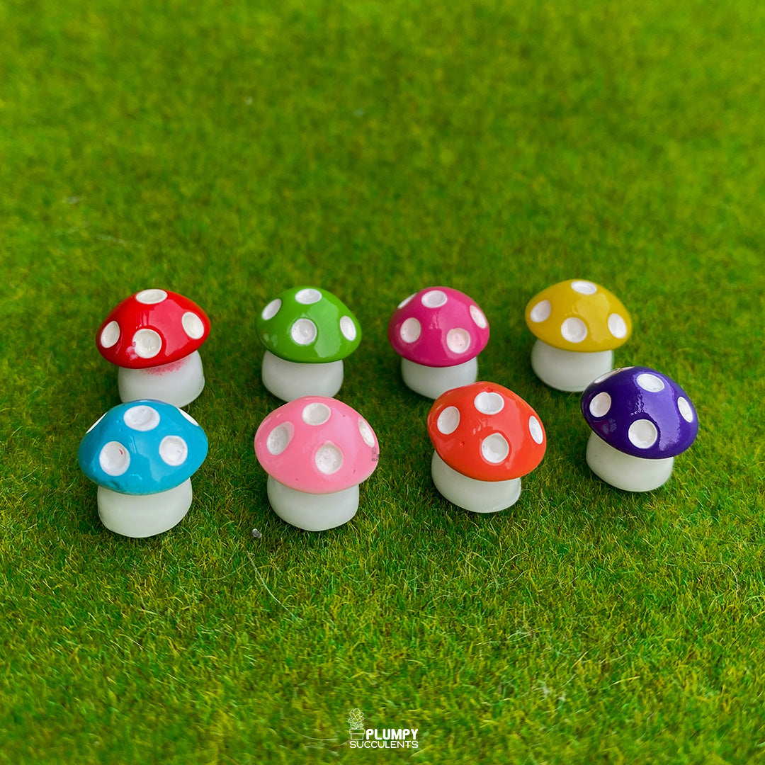 Mini Mushrooms