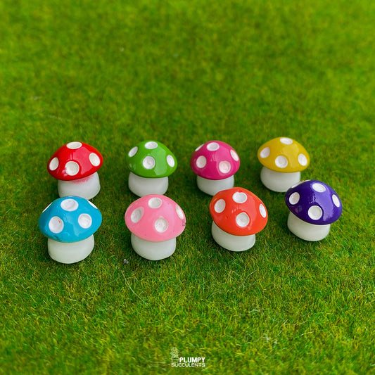Mini Mushrooms