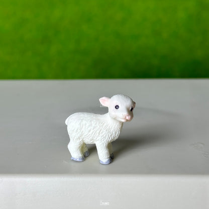 Sheep