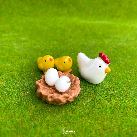 Hen Nest Set