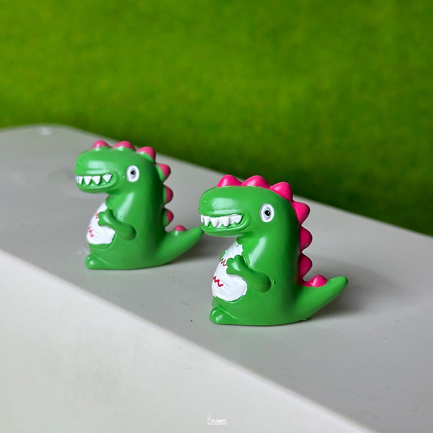Alligator