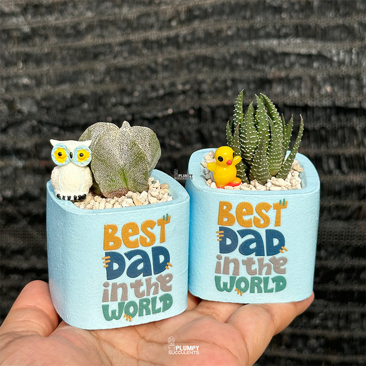 Set of Two – Best Dad in the World Pastel Blue (Copy)