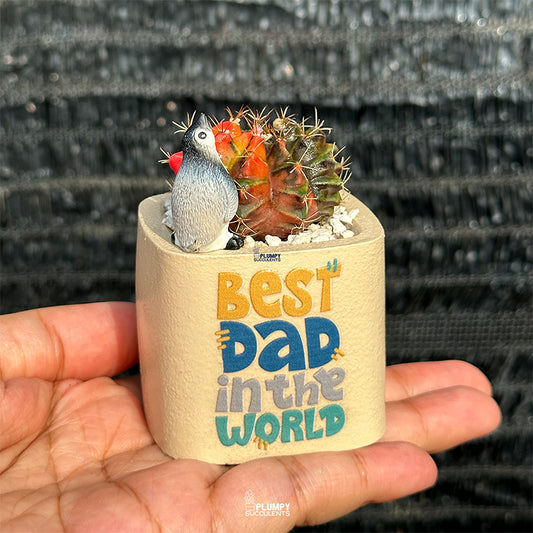 Best Dad in the World -Variegated Gymnocalycium