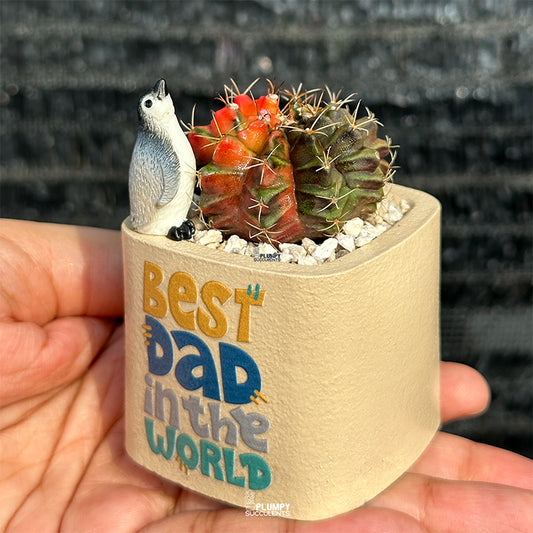 Best Dad in the World -Variegated Gymnocalycium