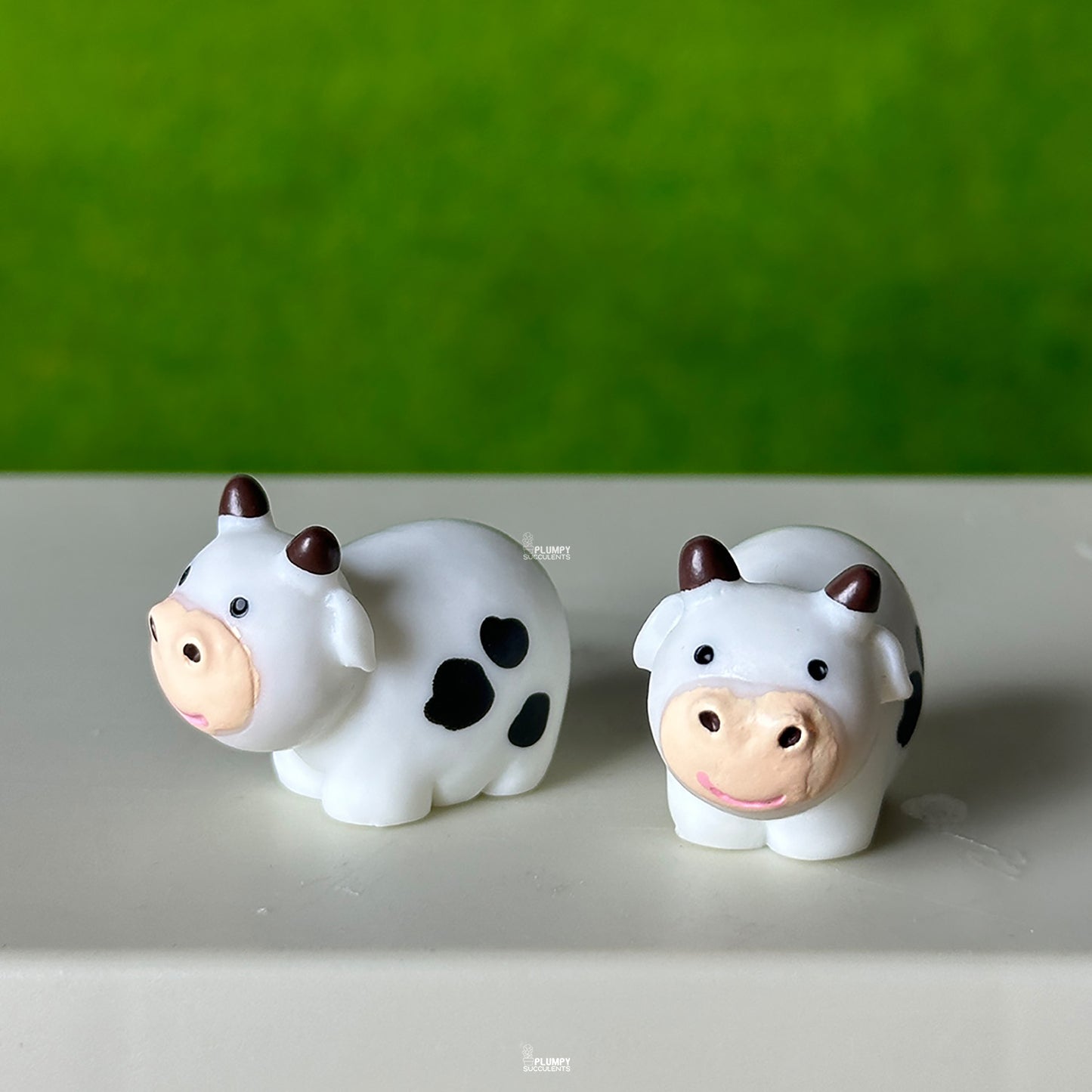 Bull