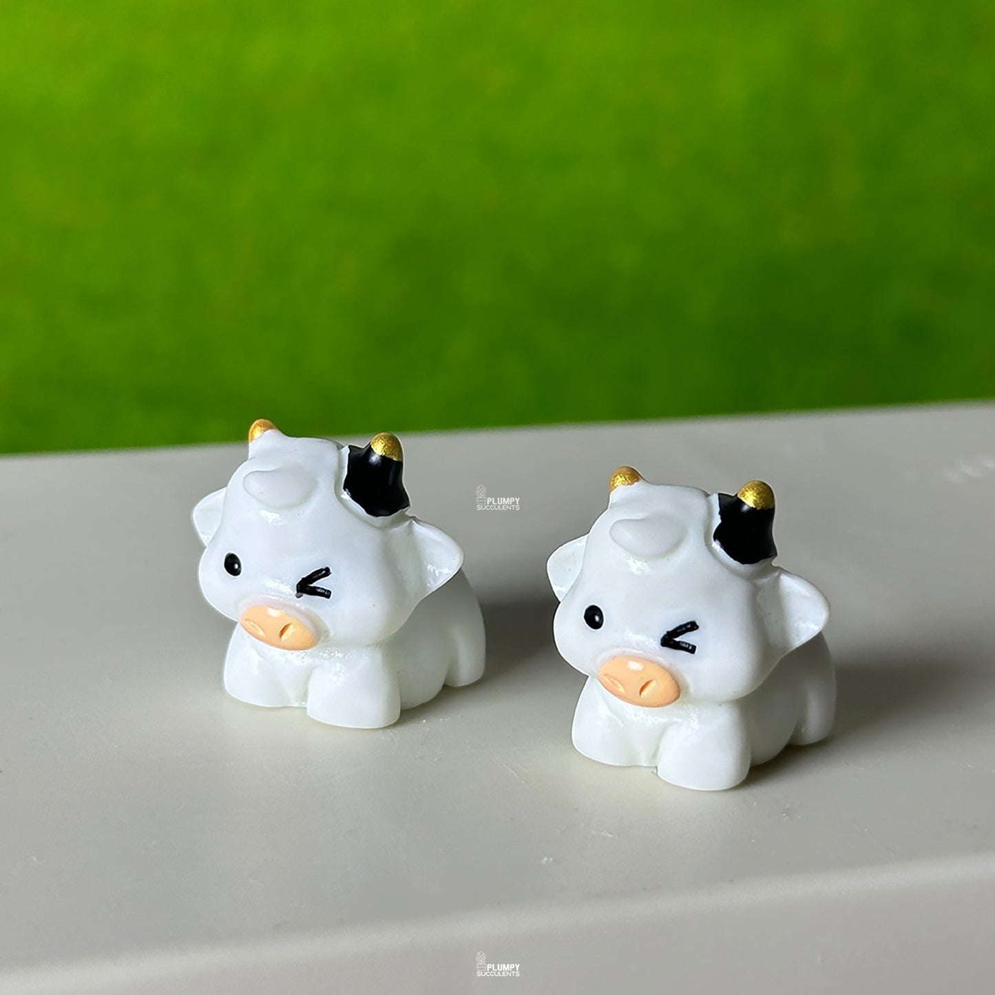 Cute Cow