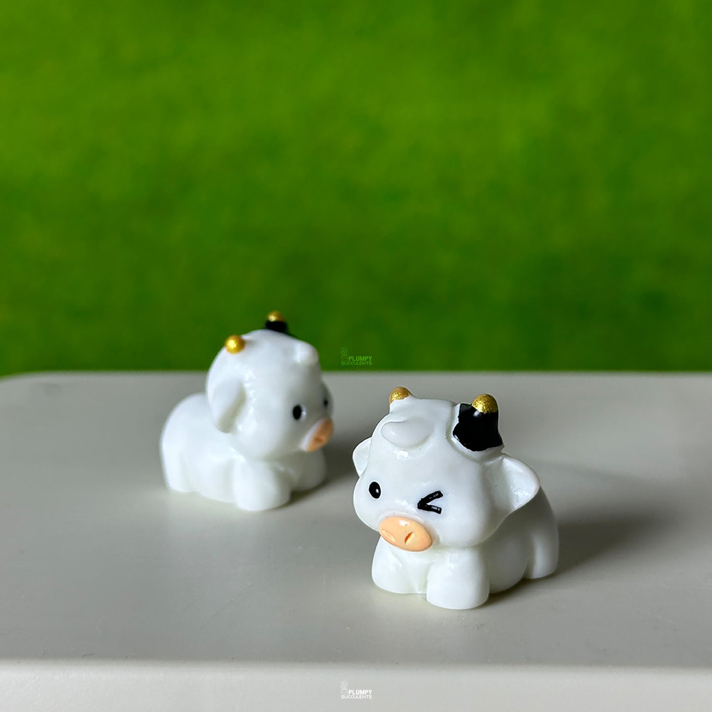 Cute Cow