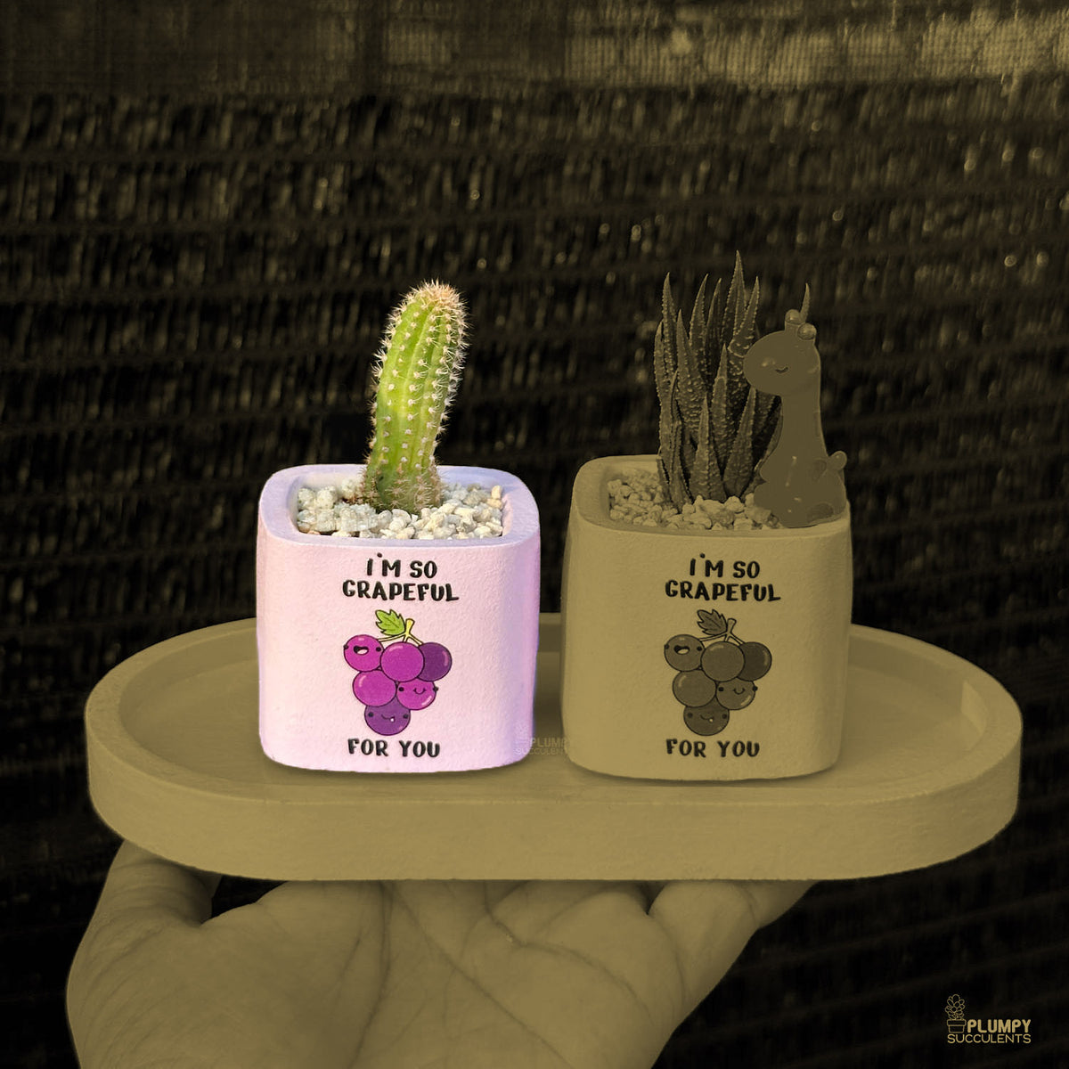 PURPLE – “I’m So Grapeful For You” Planter