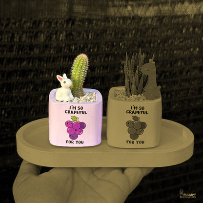 PURPLE – “I’m So Grapeful For You” Planter