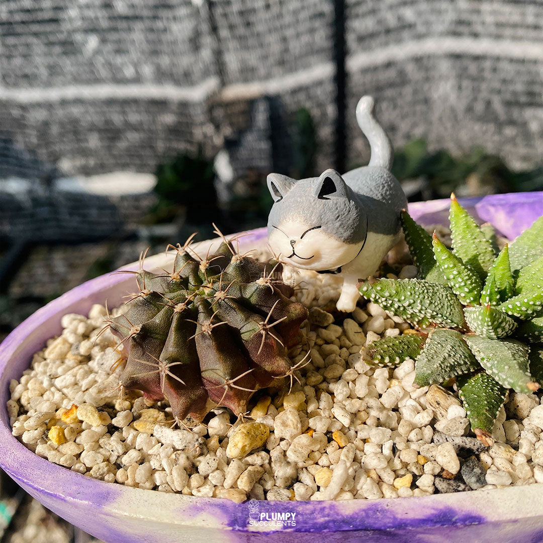 Side view of Enchanted Boat Fairy Garden in a handcrafted concrete planter with succulents and whimsical figurines