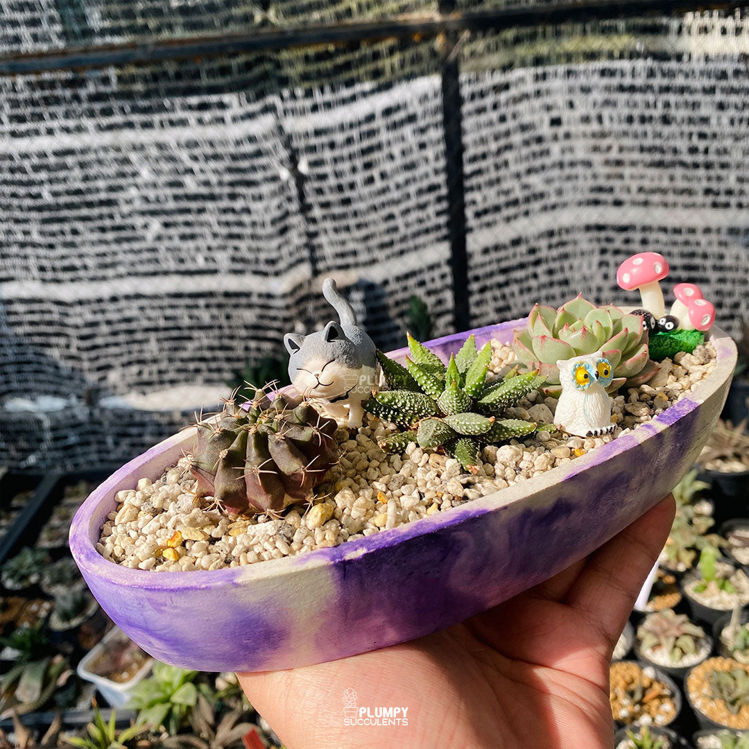 Top view of Enchanted Boat Fairy Garden highlighting the succulent arrangement inside the concrete planter
