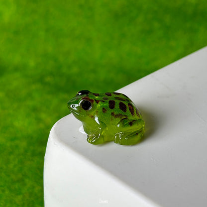 Frog (Toad)