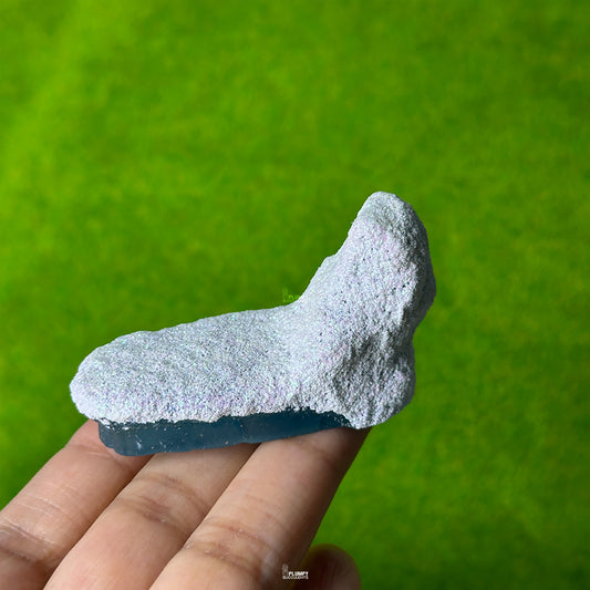 Glacier iceberg