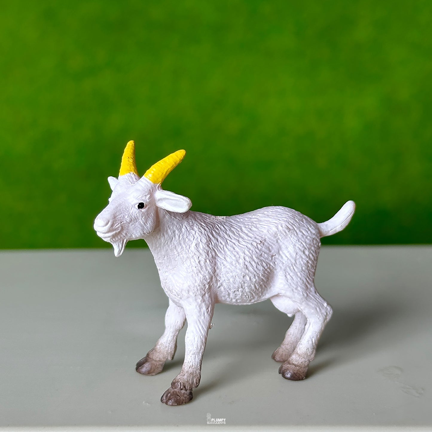 Goat