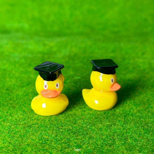 Graduation Duck
