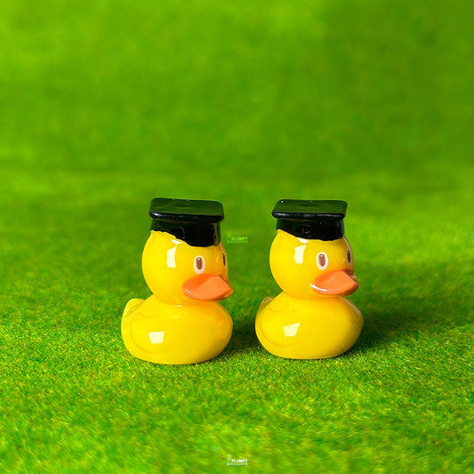 Graduation Duck