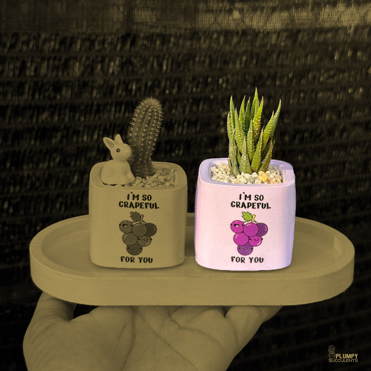 PURPLE – “I’m So Grapeful For You” Planter