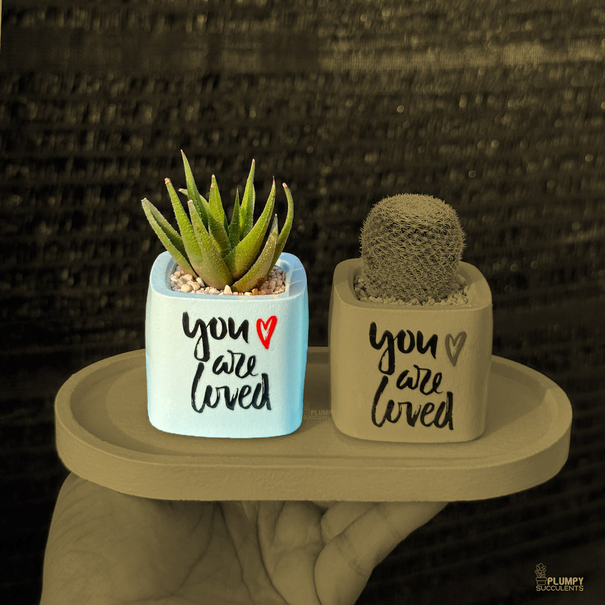 BLUE – “You Are Loved” Planter