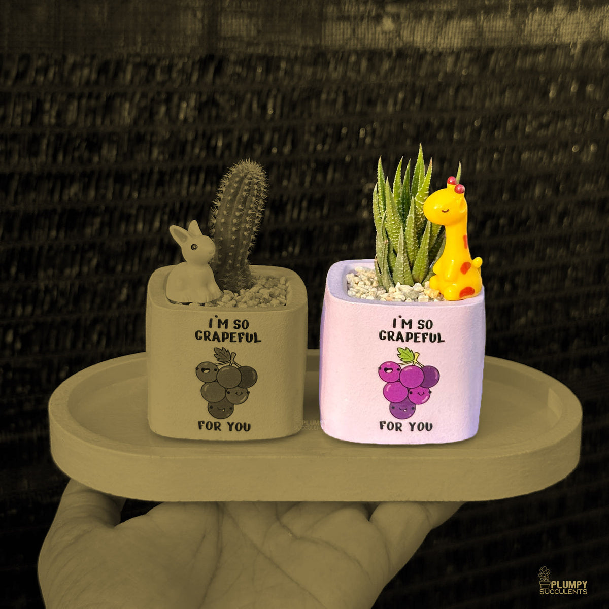 PURPLE – “I’m So Grapeful For You” Planter