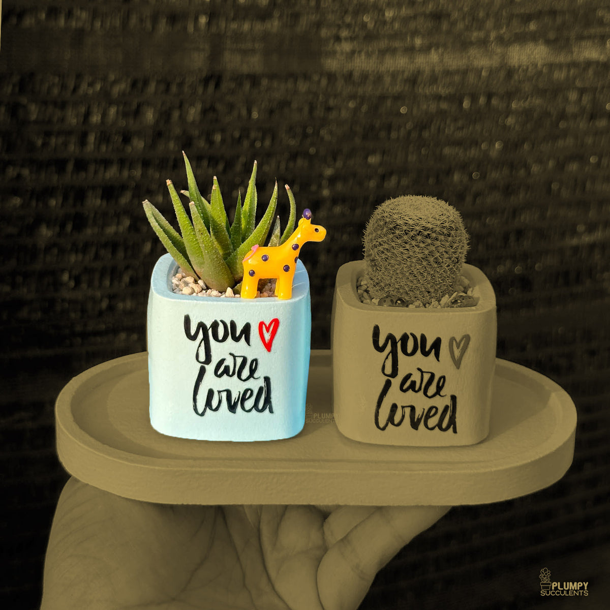 BLUE – “You Are Loved” Planter