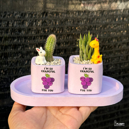 PURPLE – “I’m So Grapeful For You” Planter