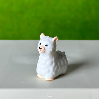 Alpaca