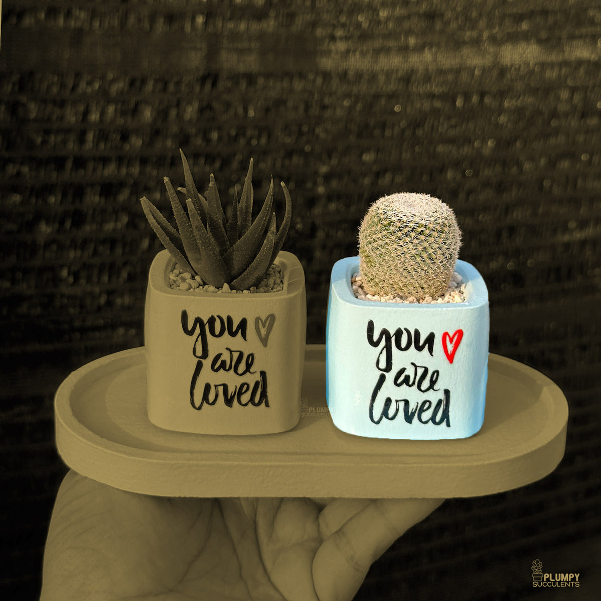 BLUE – “You Are Loved” Planter