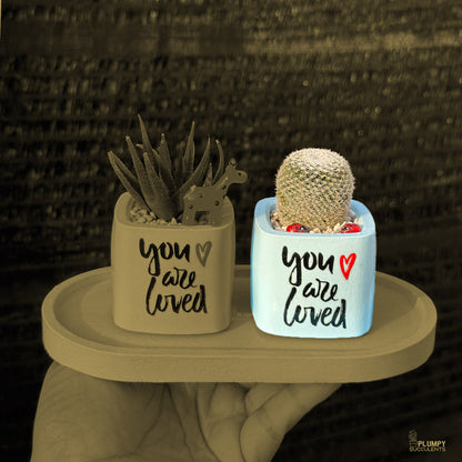 BLUE – “You Are Loved” Planter