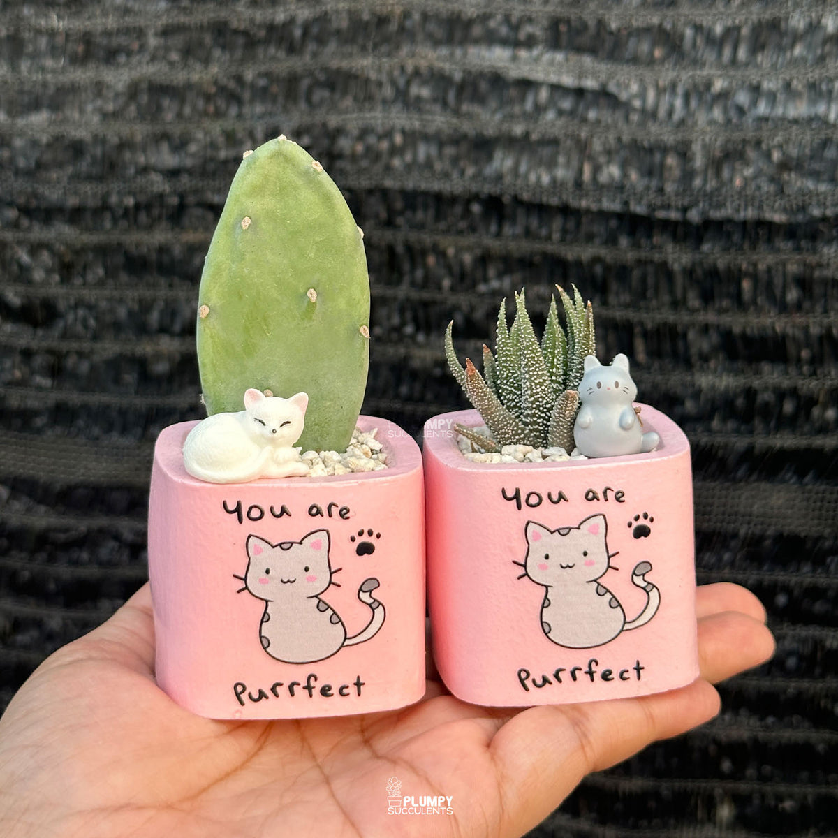 PINK – “You Are Purrfect” Planter