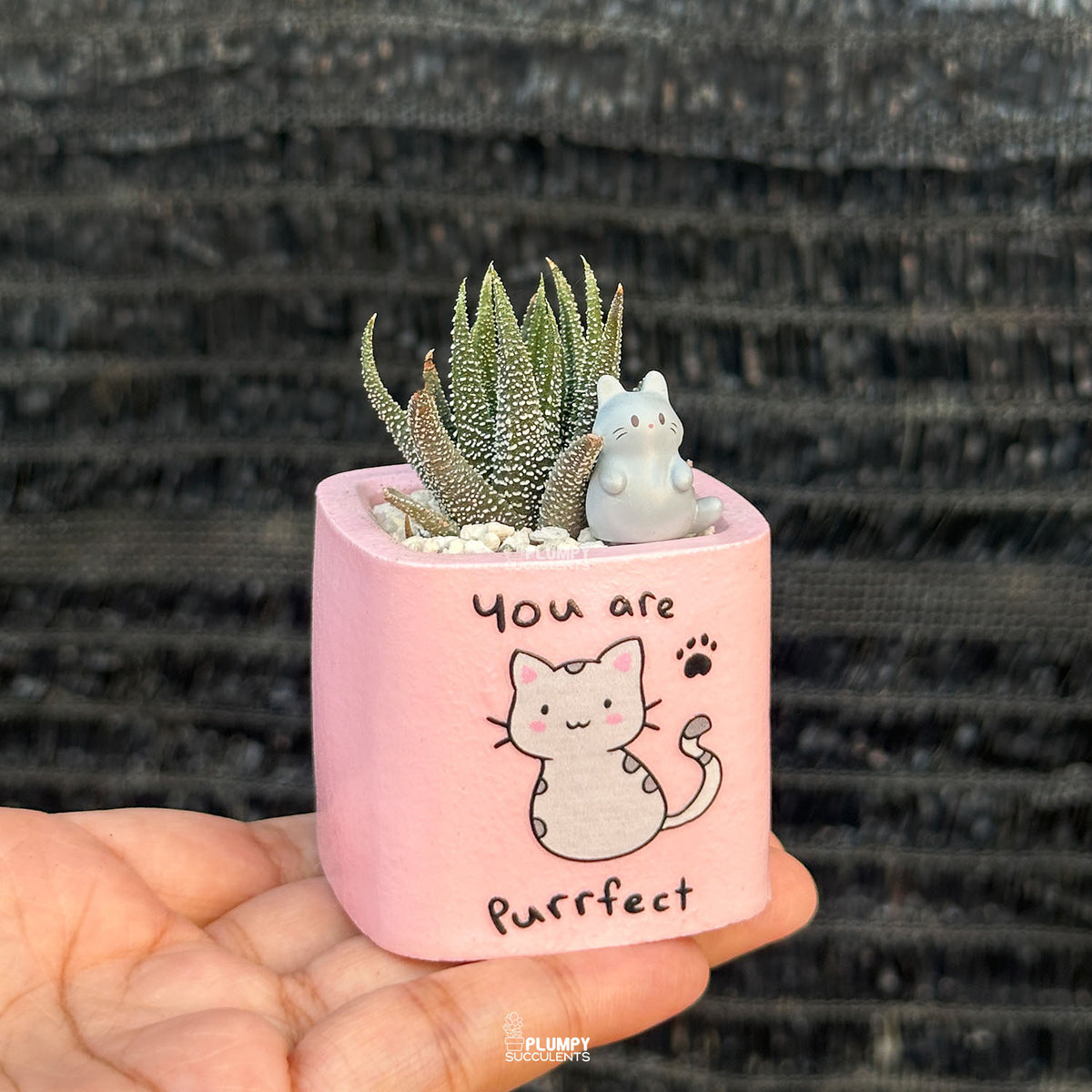 PINK – “You Are Purrfect” Planter