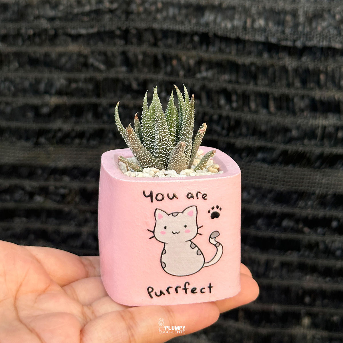 PINK – “You Are Purrfect” Planter