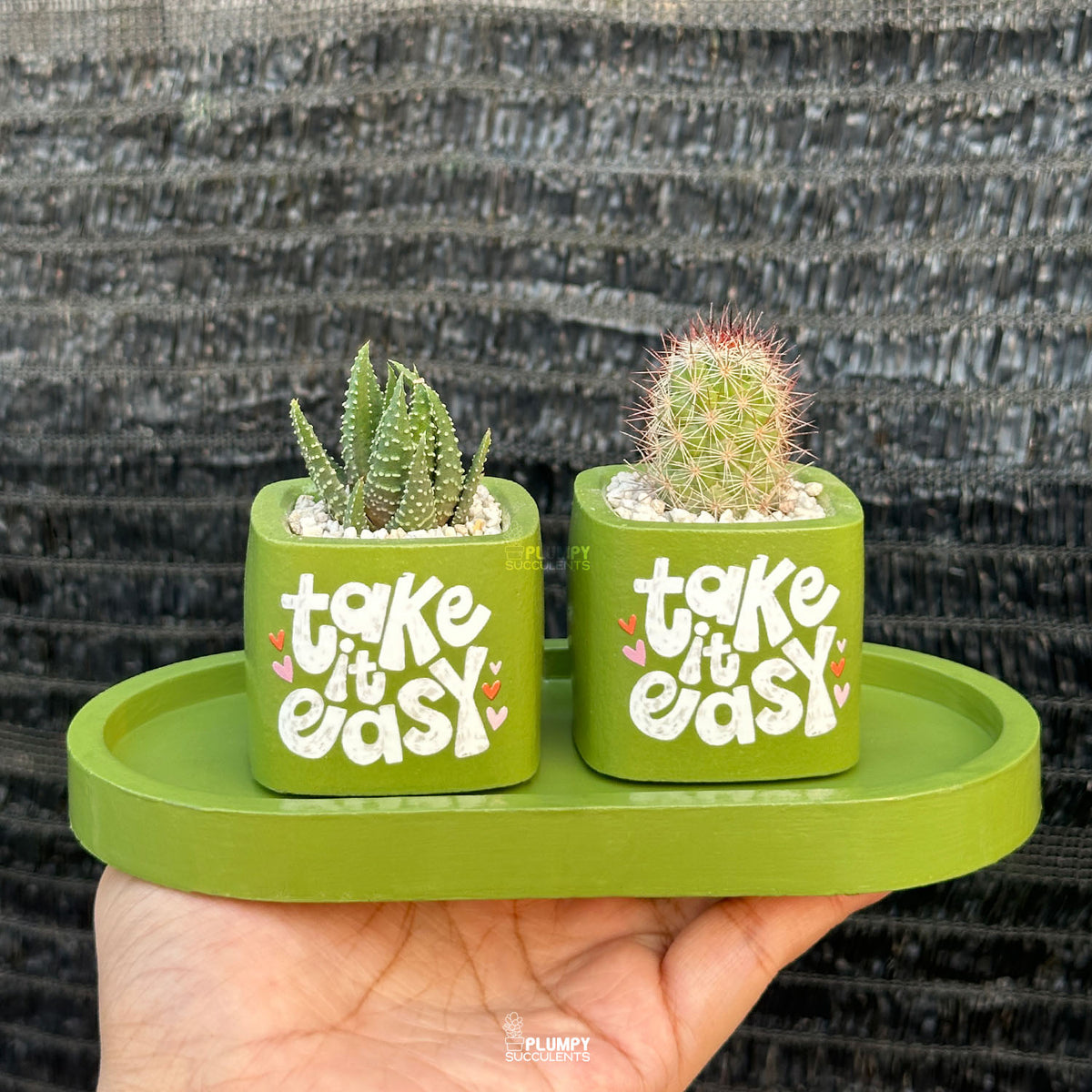 Spring Leaf Green — “Take It Easy”