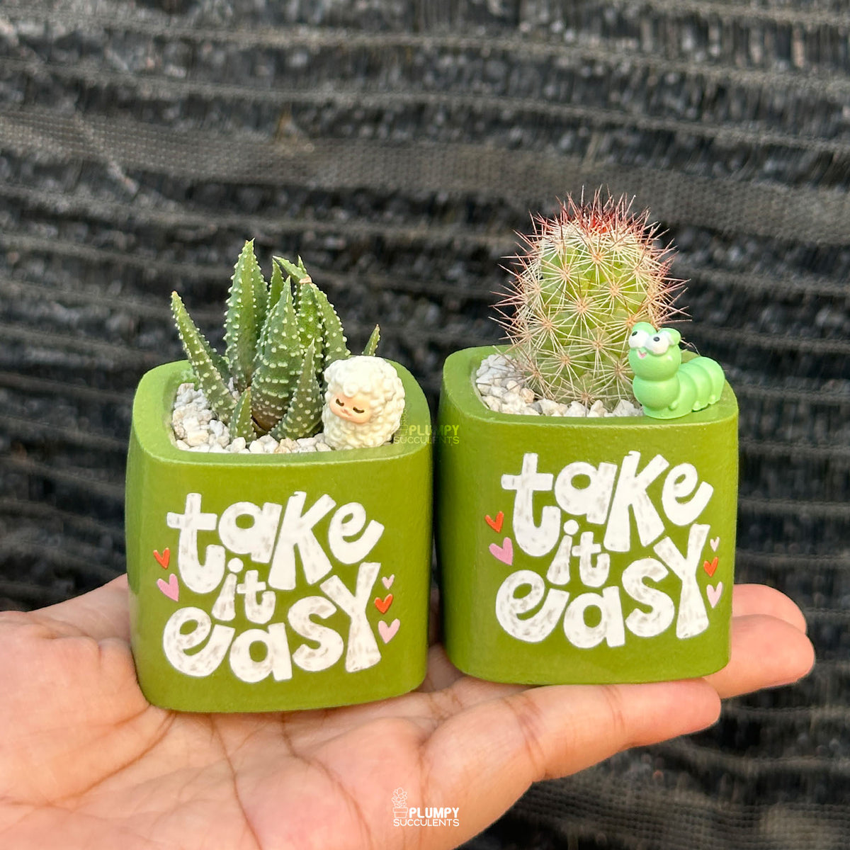 Spring Leaf Green — “Take It Easy”