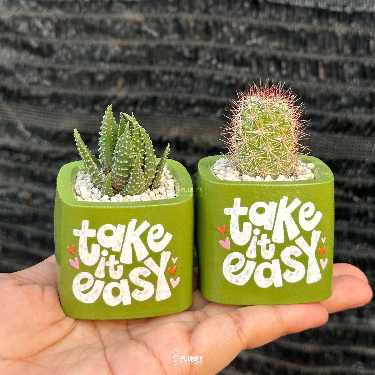 Spring Leaf Green — “Take It Easy”