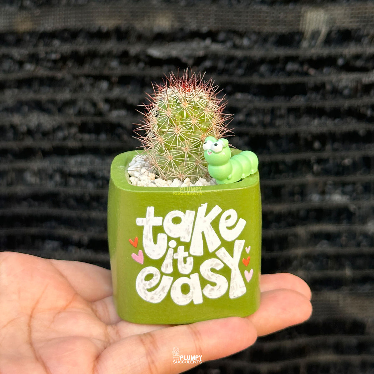 Spring Leaf Green — “Take It Easy”