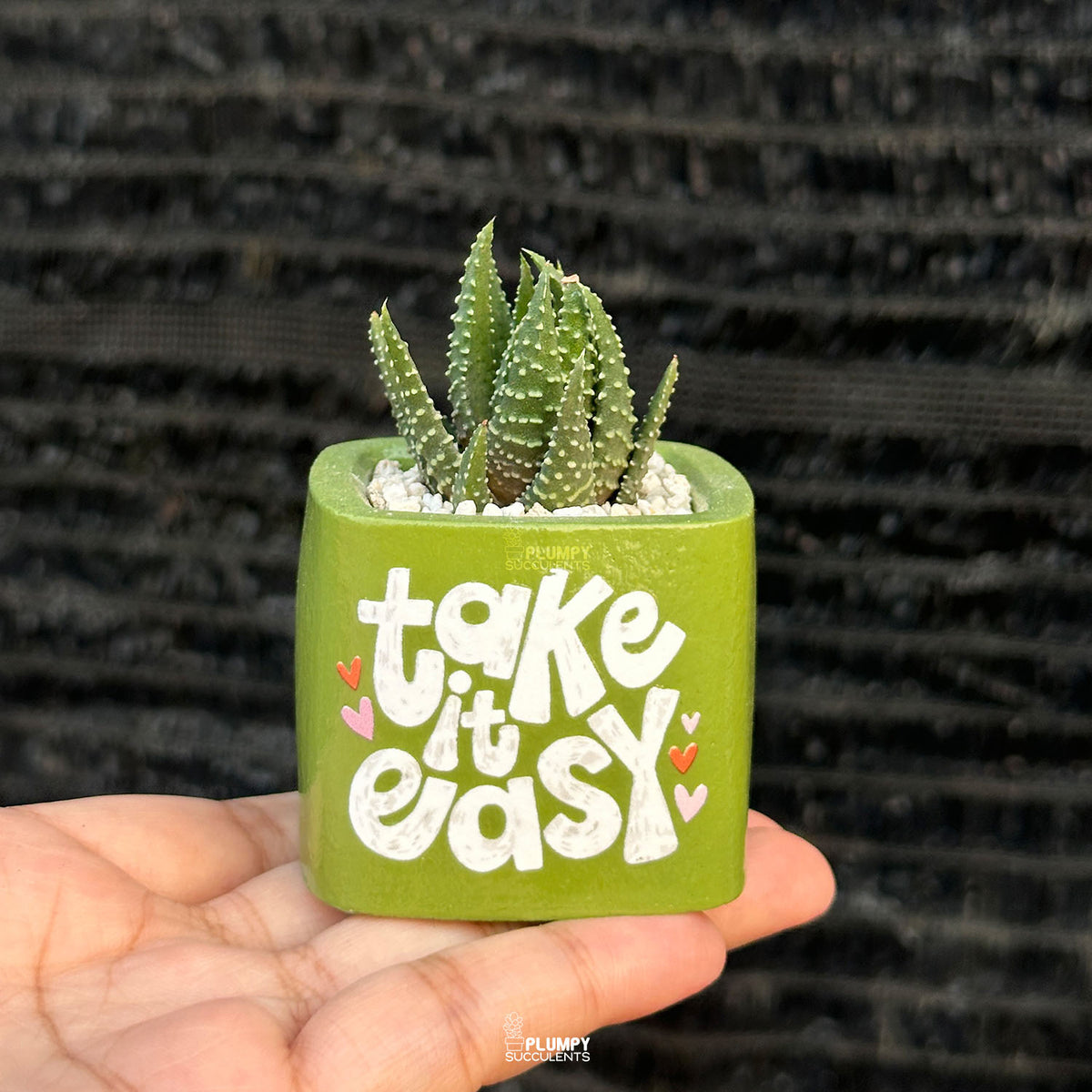 Spring Leaf Green — “Take It Easy”