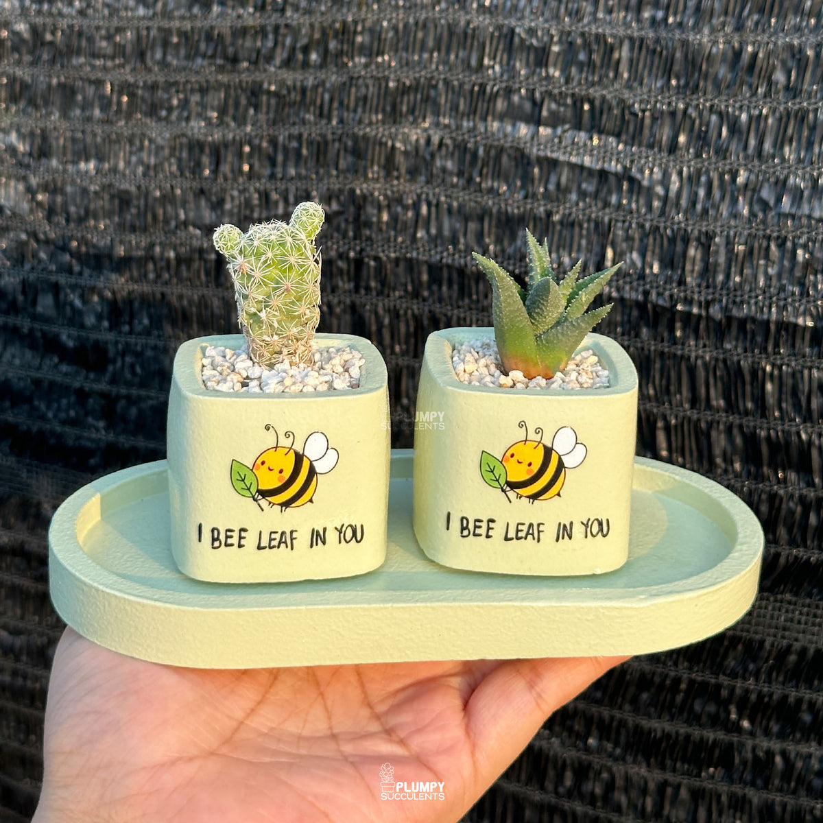 Pastel Green — “I Bee-Leaf in You"