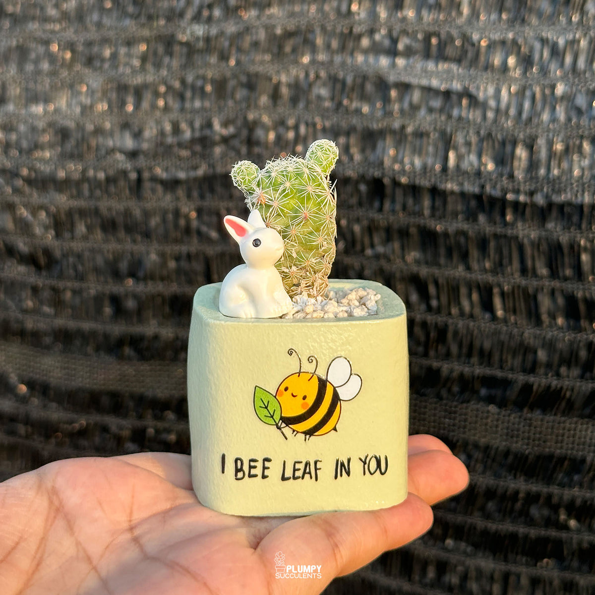 Pastel Green — “I Bee-Leaf in You"