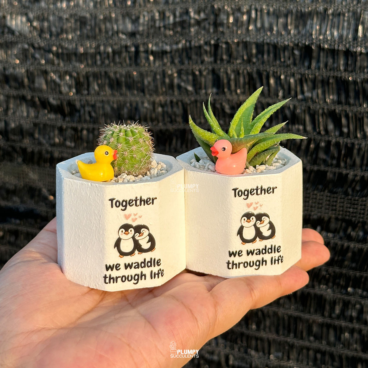 White Octagonal — “Together We Waddle Through Life”