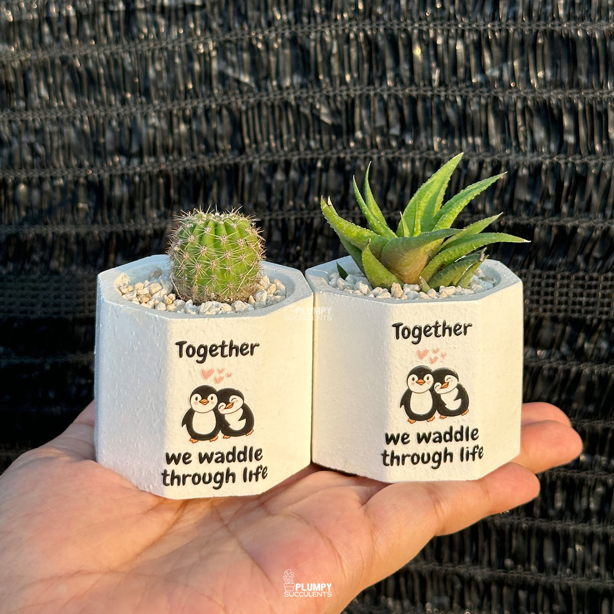 White Octagonal — “Together We Waddle Through Life”