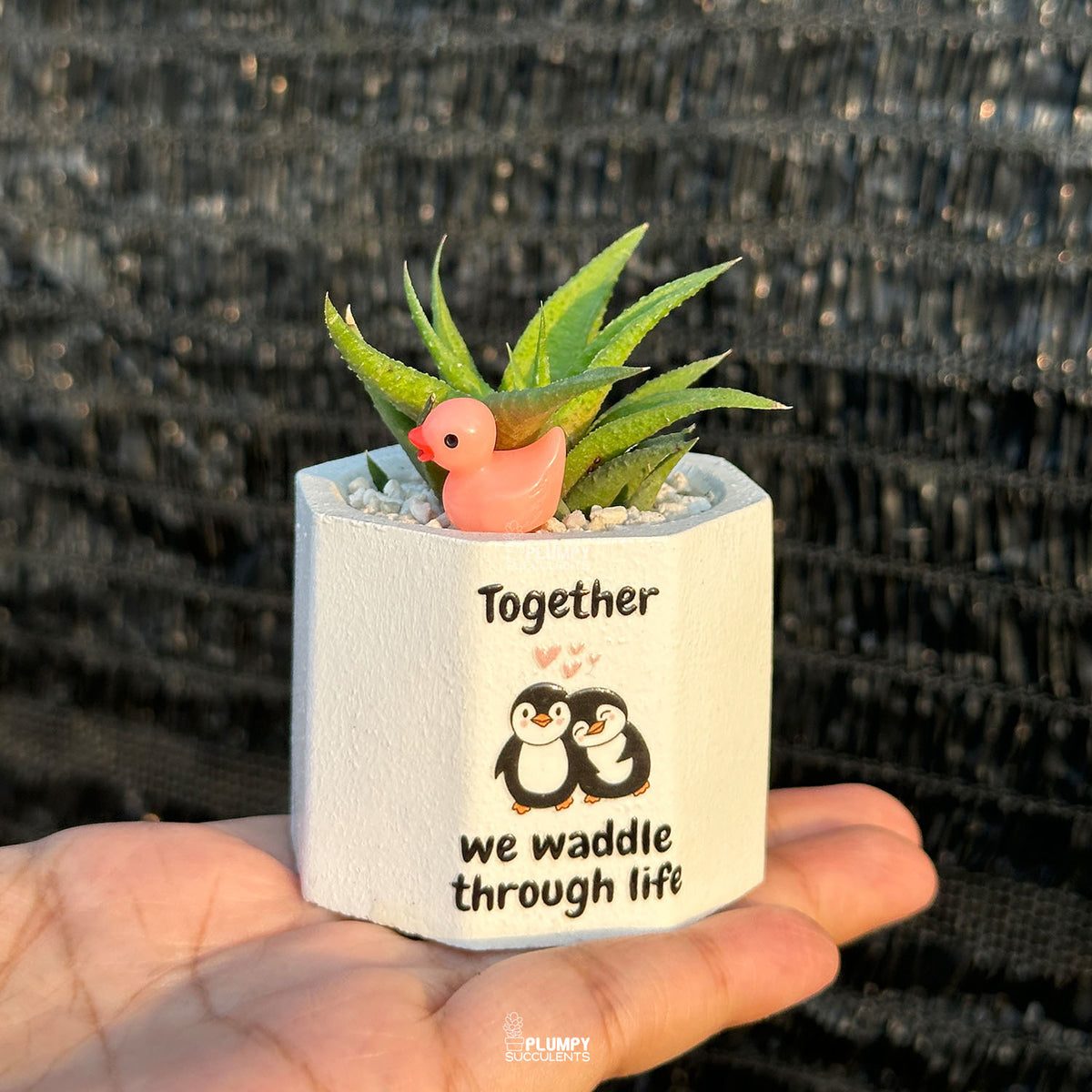 White Octagonal — “Together We Waddle Through Life”