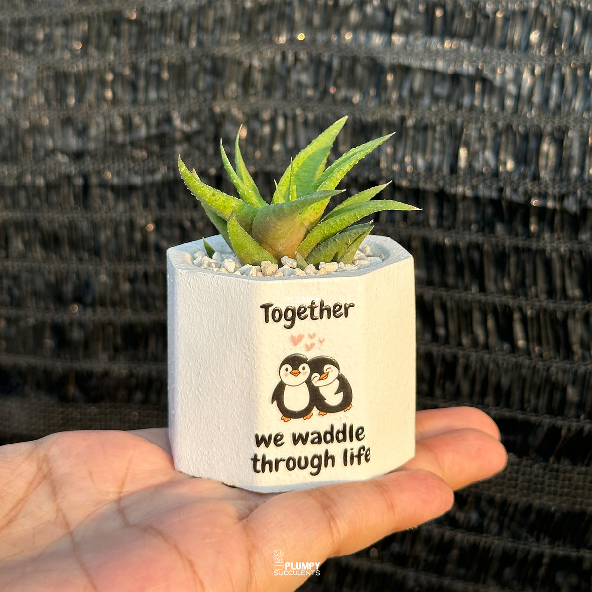 White Octagonal — “Together We Waddle Through Life”