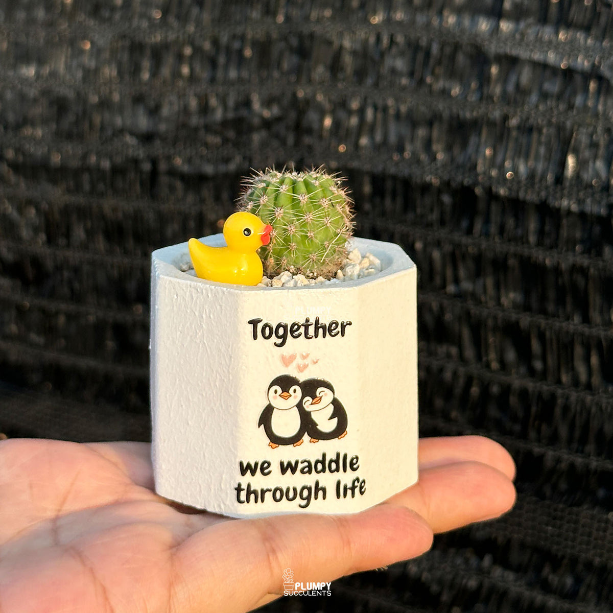 White Octagonal — “Together We Waddle Through Life”