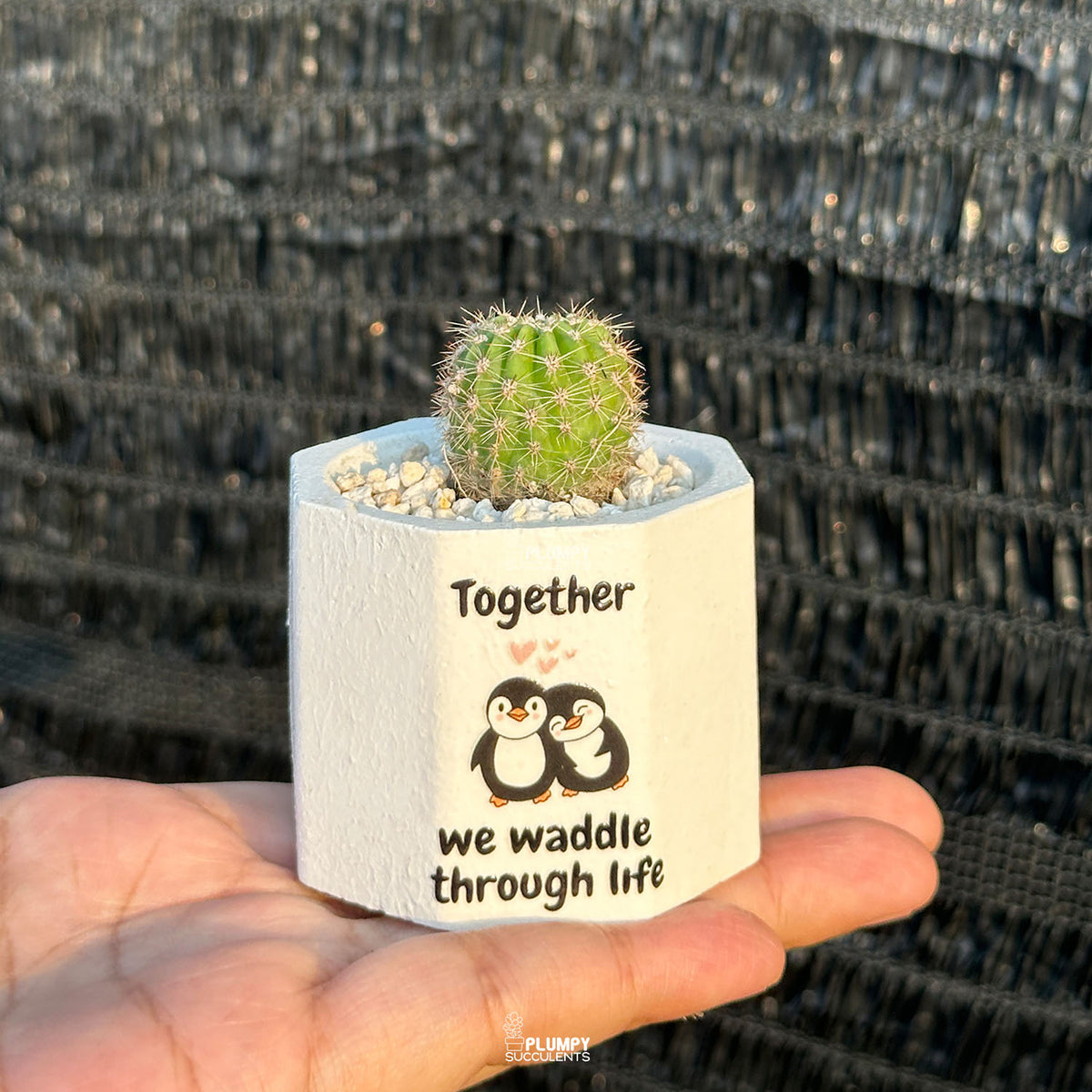 White Octagonal — “Together We Waddle Through Life”