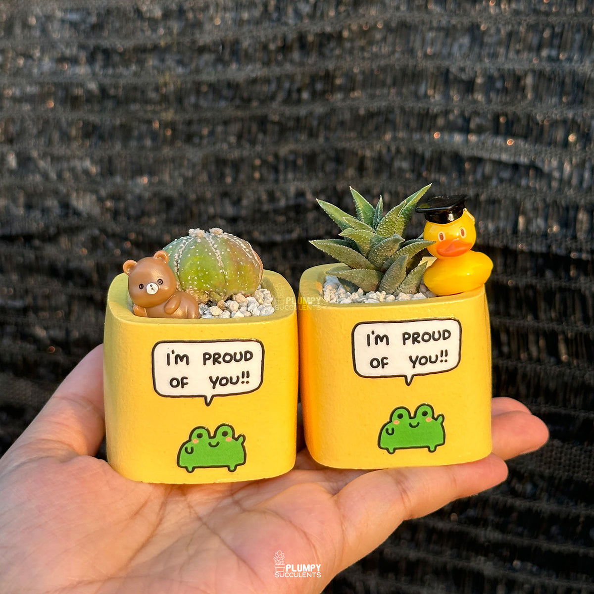 YELLOW - "I'm Proud Of You" Planter