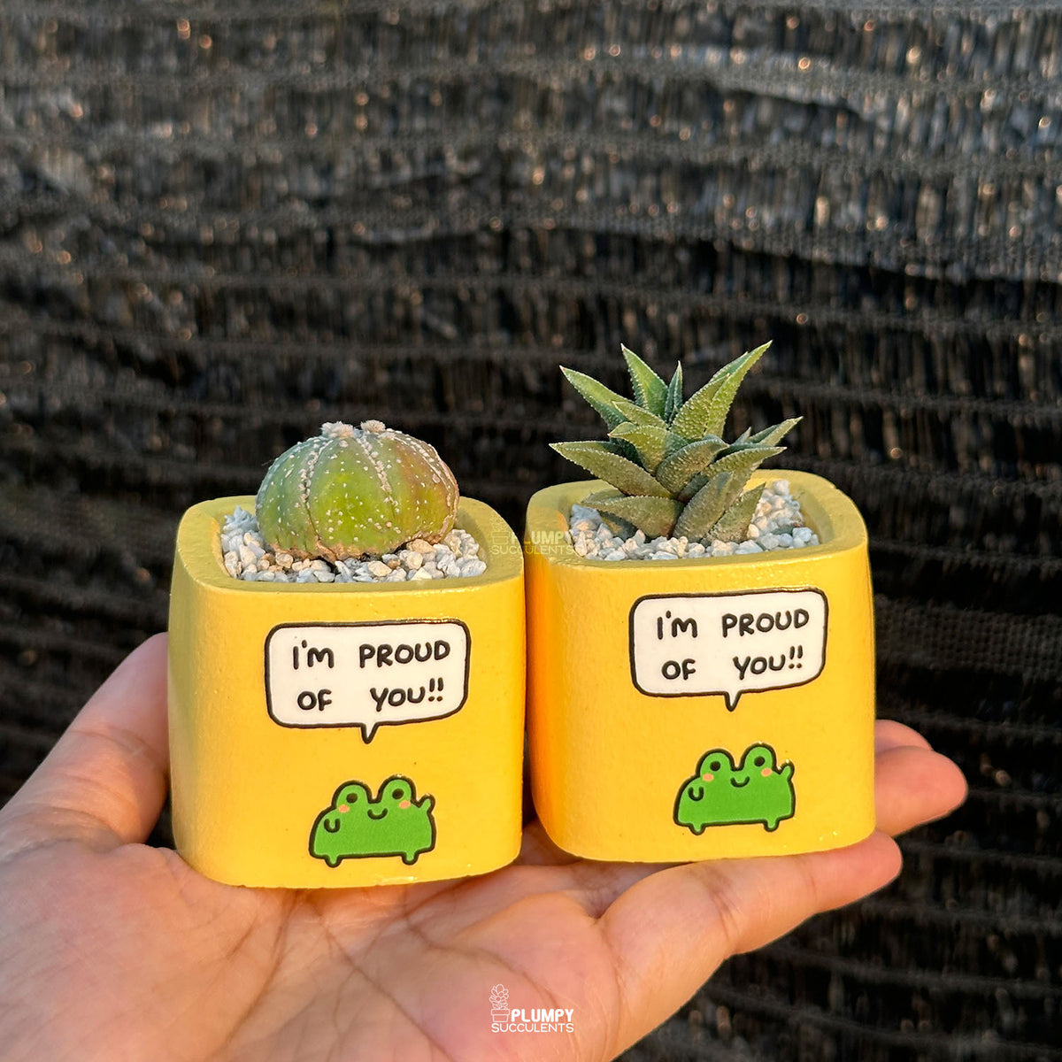 YELLOW - "I'm Proud Of You" Planter