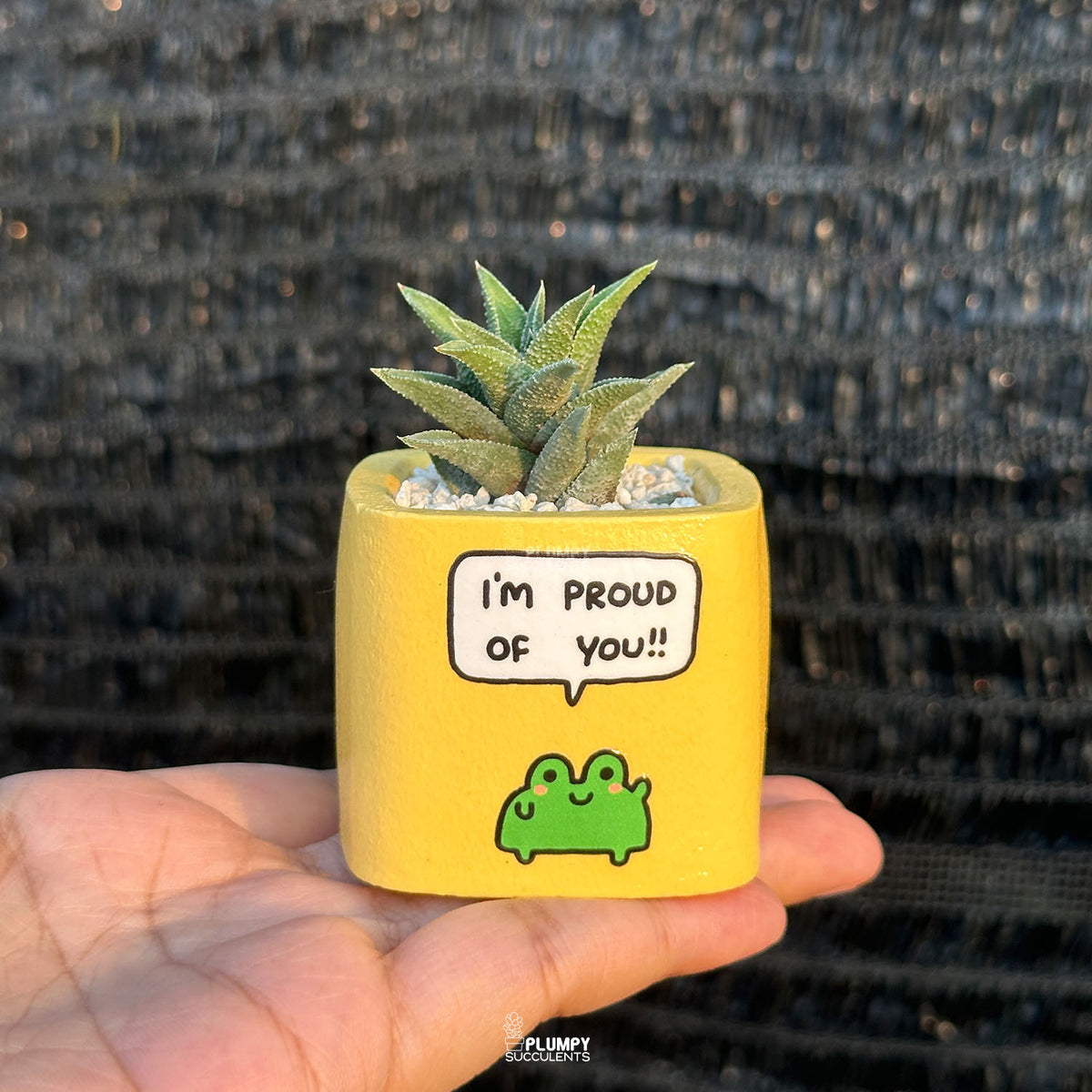 YELLOW - "I'm Proud Of You" Planter